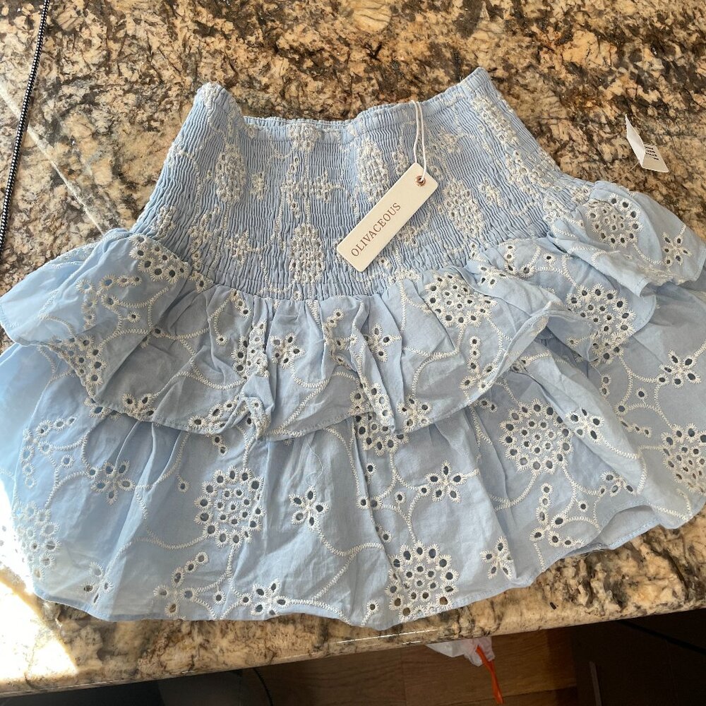 OliviaCeous Blue Skirt